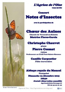 Affiche Concert Moncel 152x214